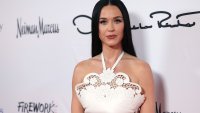 Wait, is Katy Perry at the Met Gala? Fake images go viral, fool people