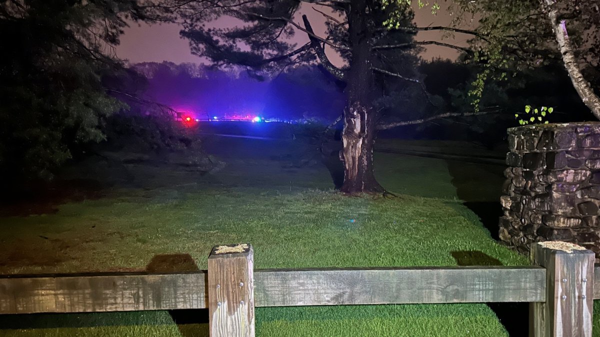 Man found dead at Wickham Park was shot: police - Vimarsana News