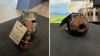 Tweed Airport terminal evacuated after inert grenade found in woman's luggage
