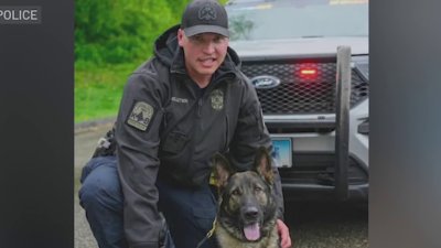 Businesses step in to support fallen trooper's family