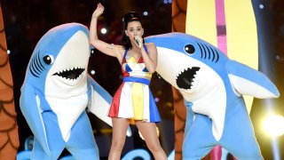 Recording artist Katy Perry performs onstage during the Pepsi Super Bowl XLIX Halftime Show at University of Phoenix Stadium, now known as State Farm Stadium, in Glendale, Arizona, on Feb. 1, 2015.