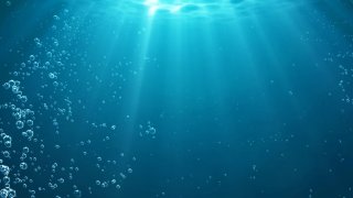 A team of international scientists has found that oxygen is being produced in complete darkness approximately 4,000 meters below the ocean’s surface.