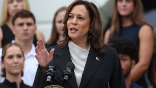 Vice President Kamala Harris speaks on the South Lawn of the White House in Washington, D.C., on July 22, 2024.