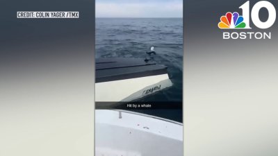 WATCH: Breaching whale takes out boat in Portsmouth, New Hampshire