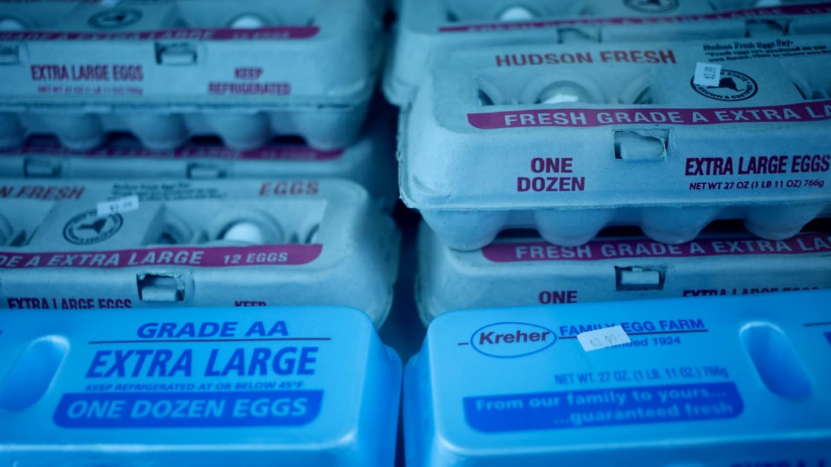 Egg prices rise again as bird flu limits supply – NBC Connecticut