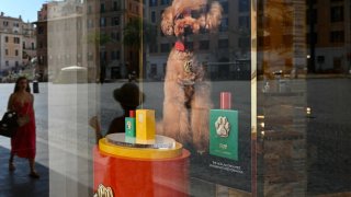 Passers-by are reflected on the window of a Dolce & Gabbana luxury fashion house boutique displaying their new perfume for dogs called ‘Fefé’ in central Rome, on August 8, 2024. Dolce & Gabbana has launched a new alcohol-free dog fragrance certified suitable for animal use called “Fefé” in honor of Domenico Dolce’s pet. (Photo by Alberto PIZZOLI / AFP) (Photo by ALBERTO PIZZOLI/AFP via Getty Images)