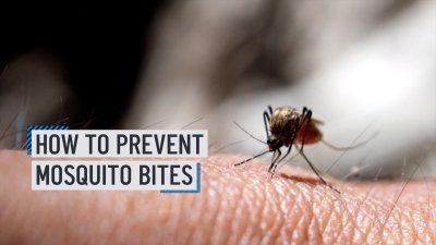 How to prevent mosquito bites