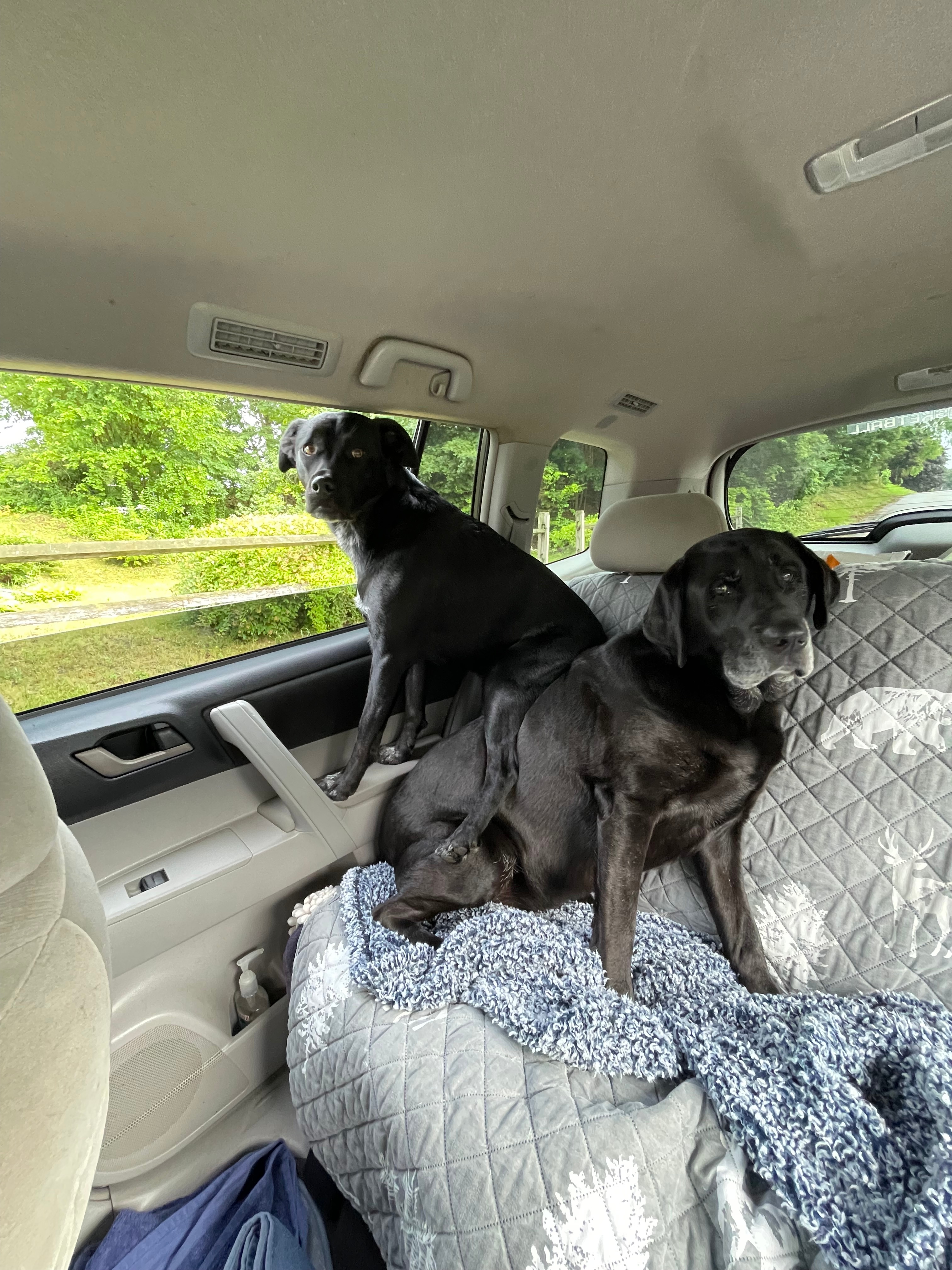 Sadie and Emmie enjoying last few days of summer