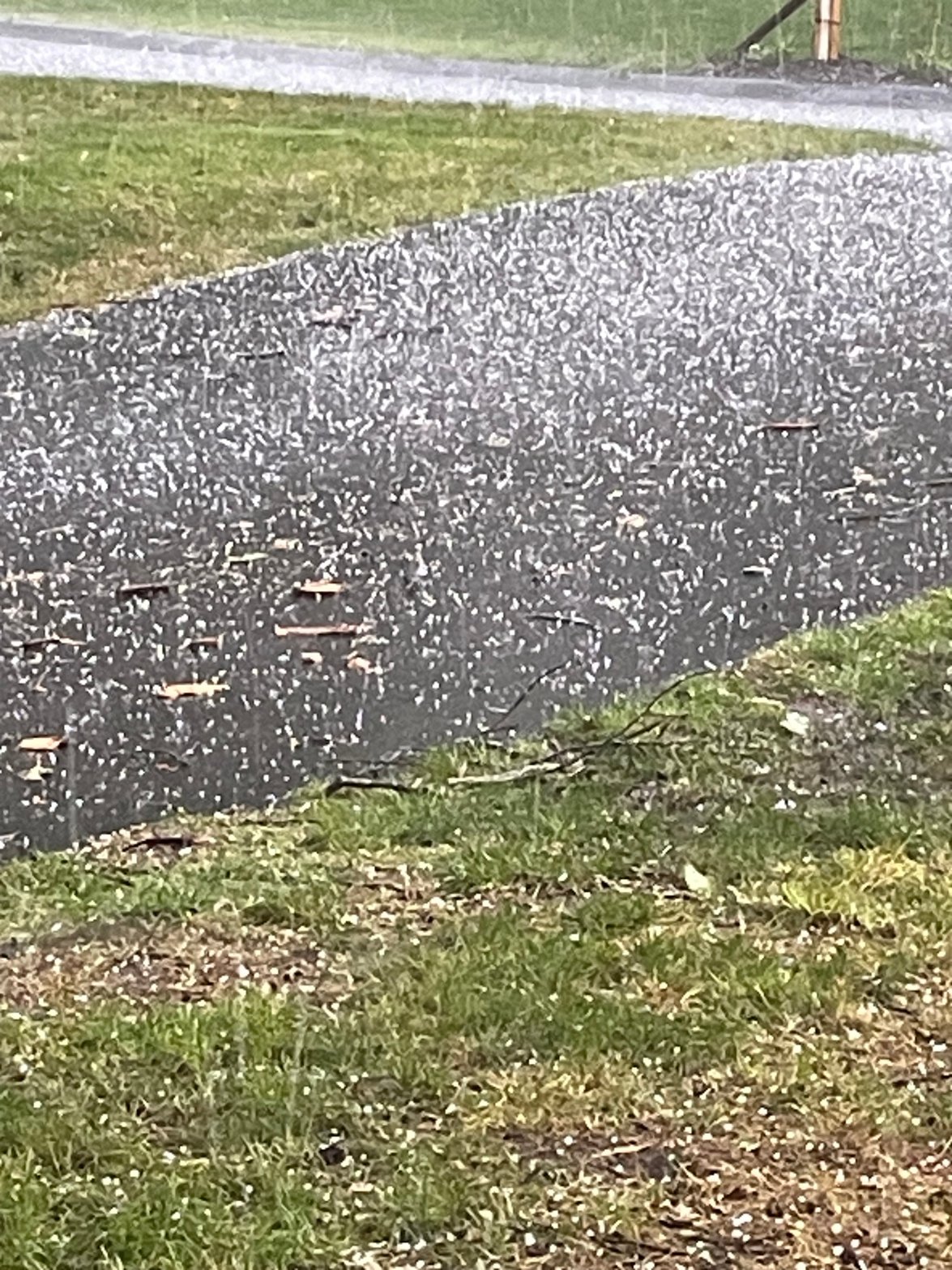 Hail In Summer Photos: Storms bring hail to parts of Connecticut – NBC Connecticut