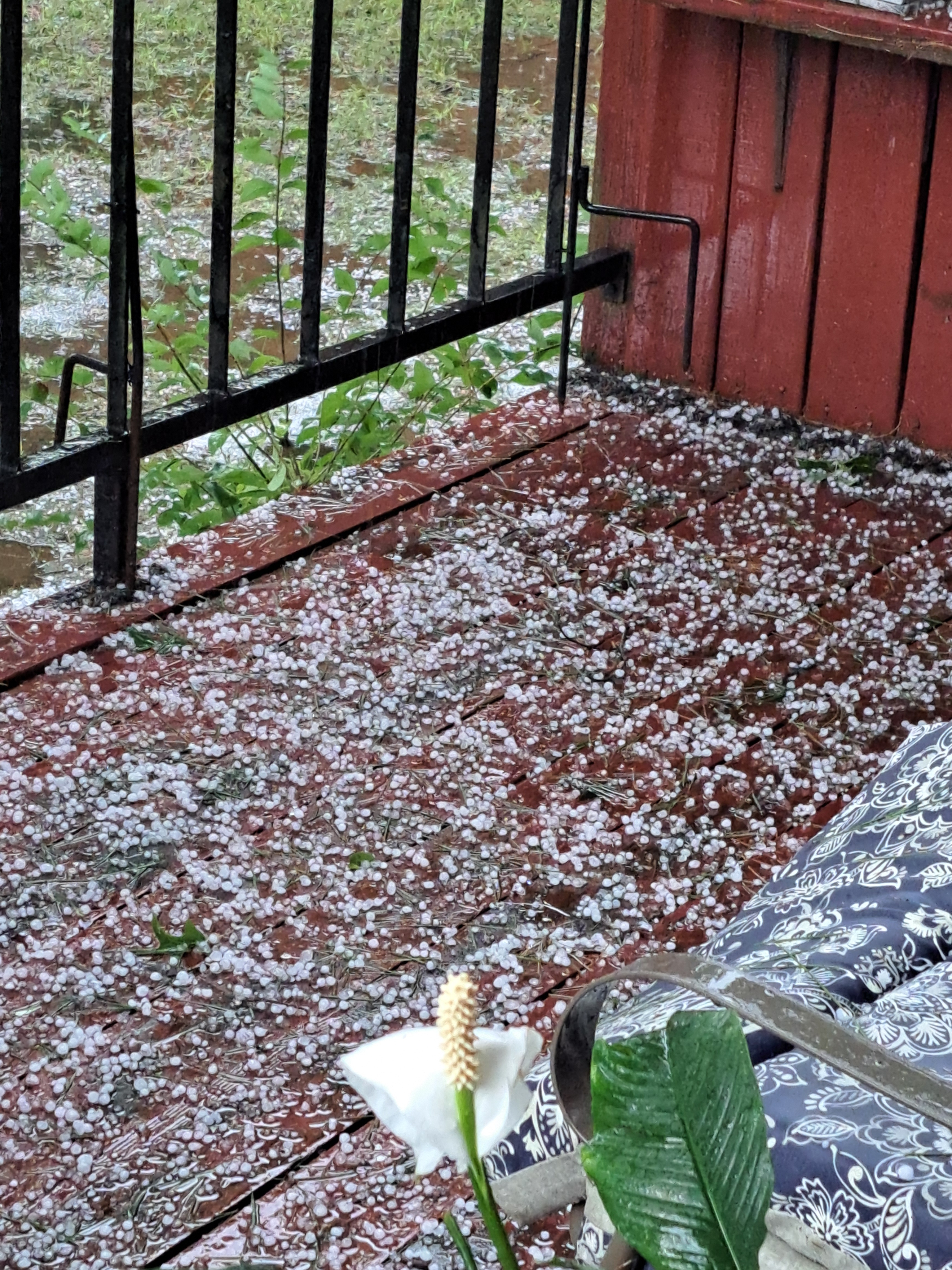 20 minutes of 1/2″ hail today