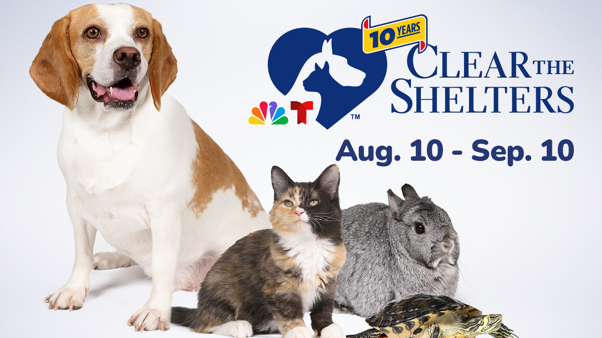 Looking to adopt your new pet during Clear the Shelters? Here are some