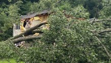 A tree came down on a house on Hartford Avenue in Granby on Friday, significantly damaging the structure.