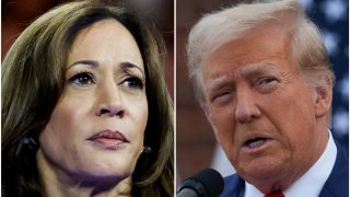 U.S. Vice President Kamala Harris in Milwaukee, Wisconsin, U.S. August 20, 2024 and former U.S. President Donald Trump in Bedminster, New Jersey, U.S., August 15, 2024 are seen in a combination of file photographs. 