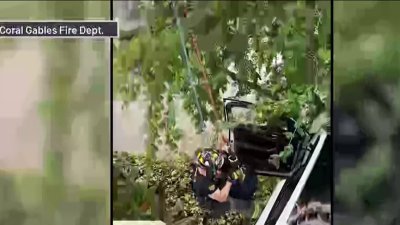 Video shows woman being rescued from dangling car at Coral Gables parking garage