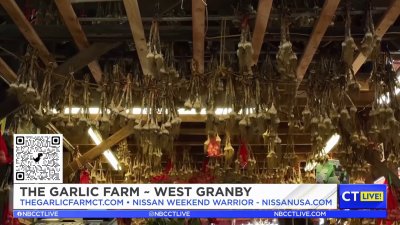 CT LIVE!: Nissan Weekend Warrior – The Garlic Farm