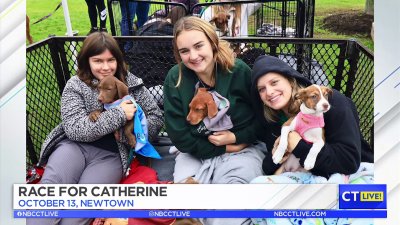 CT LIVE!: PAWSitively Good Award – Catherine Violet Hubbard Animal Sanctuary