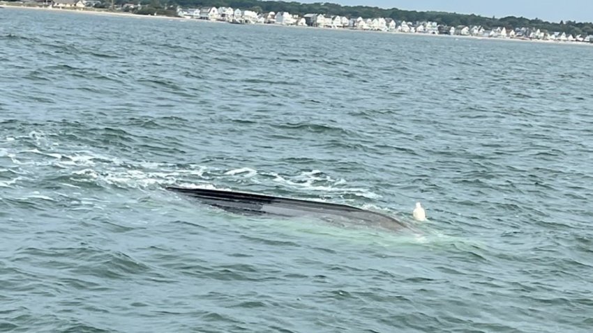 Capsized fishing boat Milford September 25 2024