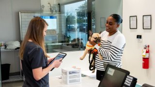 Walmart is opening five more pet services centers after testing the first location near Atlanta. The centers offer vet visits and grooming.