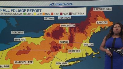 How is Connecticut's fall foliage shaping up this year?