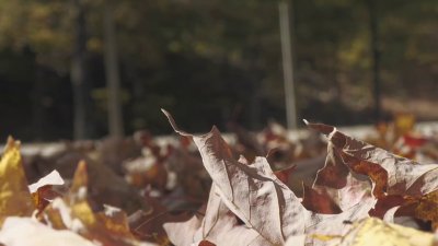 Hikers encouraged to enjoy Connecticut parks and be safe while doing so