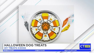 CT LIVE!: Halloween Dog Treats