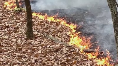 Firefighters are still battling brush fire in East Lyme