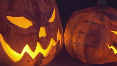 Halloween events draw families to trick-or-treat across Connecticut