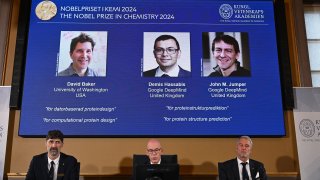 (L-R) Heiner Linke, chair of the Nobel Committee for Chemistry at the Royal Swedish Academy of Sciences, the Secretary General of the Royal Swedish Academy of Sciences Hans Ellegren and member of the Nobel Committee for Chemistry Johan Aqvist sit in front of a screen depicting the laureates (L-R) David Baker, Demis Hassabis and John M. Jumper of the 2024 Nobel Prize in Chemistry during the announcement by the Royal Swedish Academy of Sciences in Stockholm, Sweden on October 9, 2024.