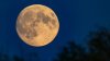 See the Beaver Moon Friday night, the last supermoon of 2024