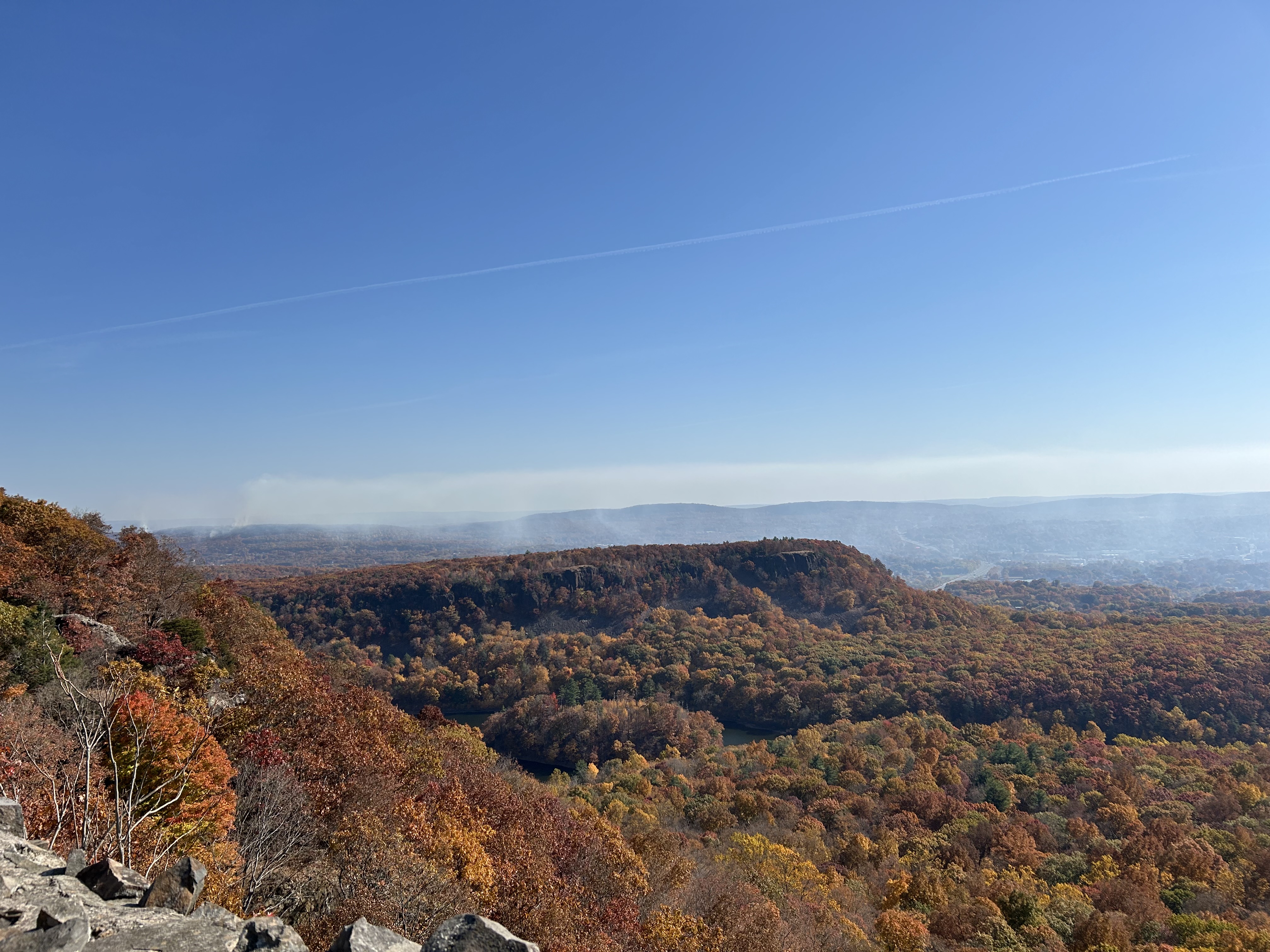 Photos: Massive brush fire burns in Berlin