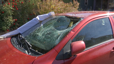 ‘Pumpkin vandal' smashes dozens of cars in Massachusetts towns