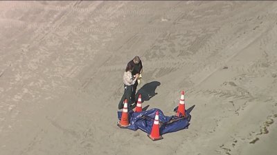 Human head washes ashore on Key Biscayne