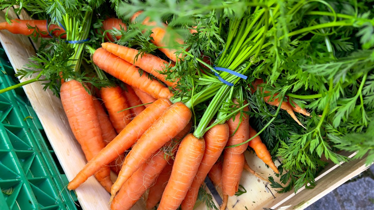 Fatal E. coli outbreak linked to organic carrots NBC Connecticut