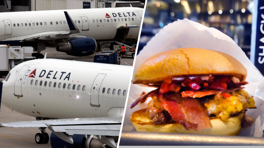 Delta Airlines plane and Shake Shack burger.