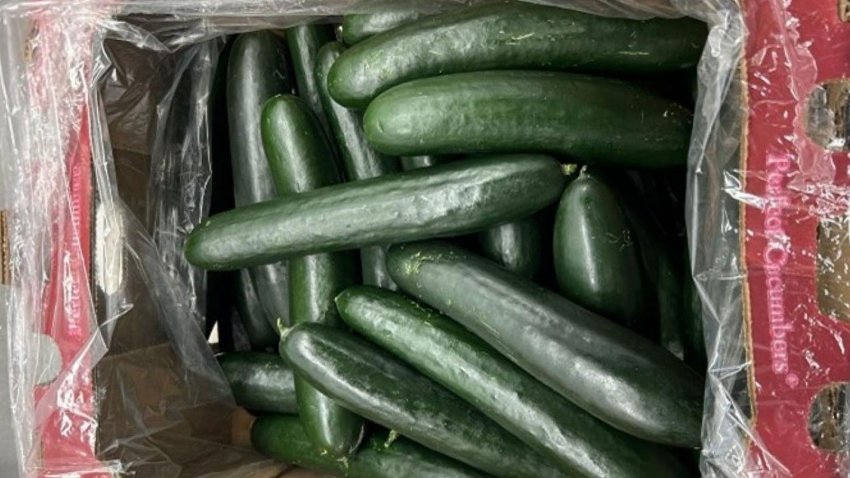 Recalled cucumbers, November 2024.