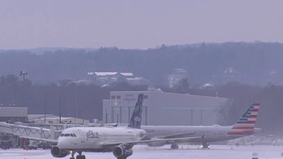 Some flights delayed at Bradley after technical issue prompts American Airlines ground stop