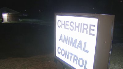 Cheshire Animal Control ordered to implement changes after concerning allegations