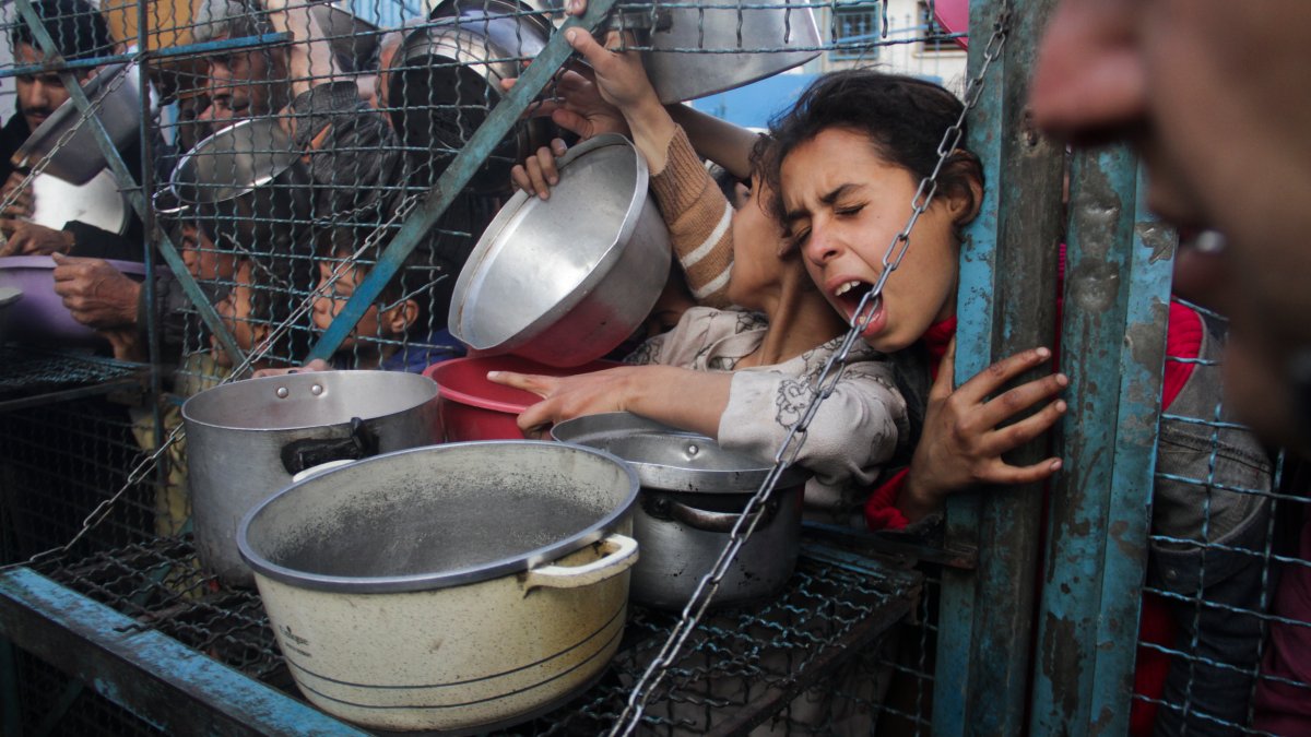 Humanitarian aid to northern Gaza mostly blocked, UN says – NBC Connecticut