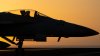 Two US Navy pilots shot down over Red Sea in apparent ‘friendly fire' incident, US military says