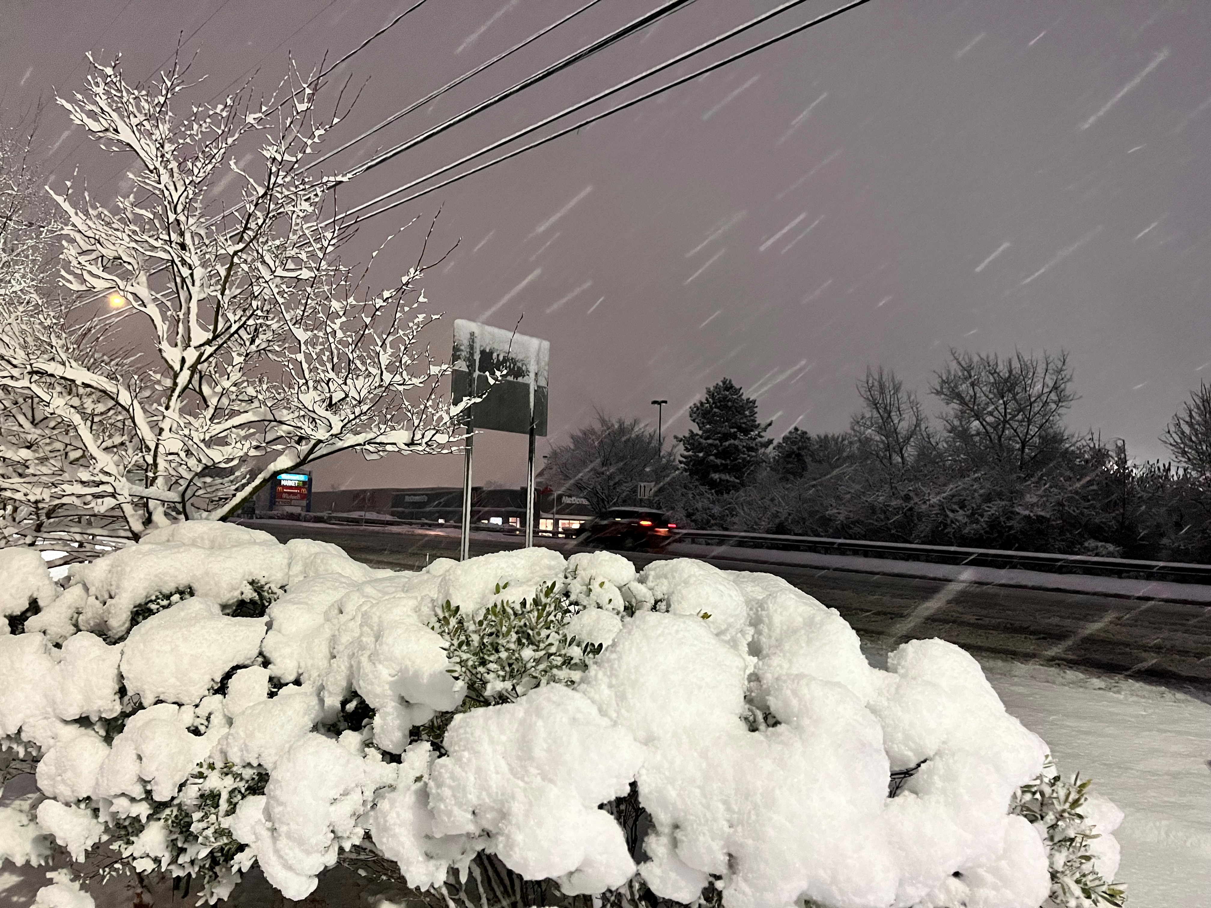 Your snow photos: Snow falls across Connecticut