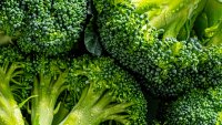 Broccoli Recall