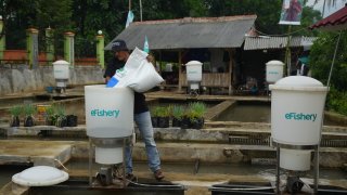EFishery “was supposed to be reflective of what the local ecosystem could do, what Indonesian founders could do. This was supposed to be one of the better companies from Southeast Asia. This was supposed to be a winner,” Justin Hall, partner at Golden Gate Ventures, told CNBC.