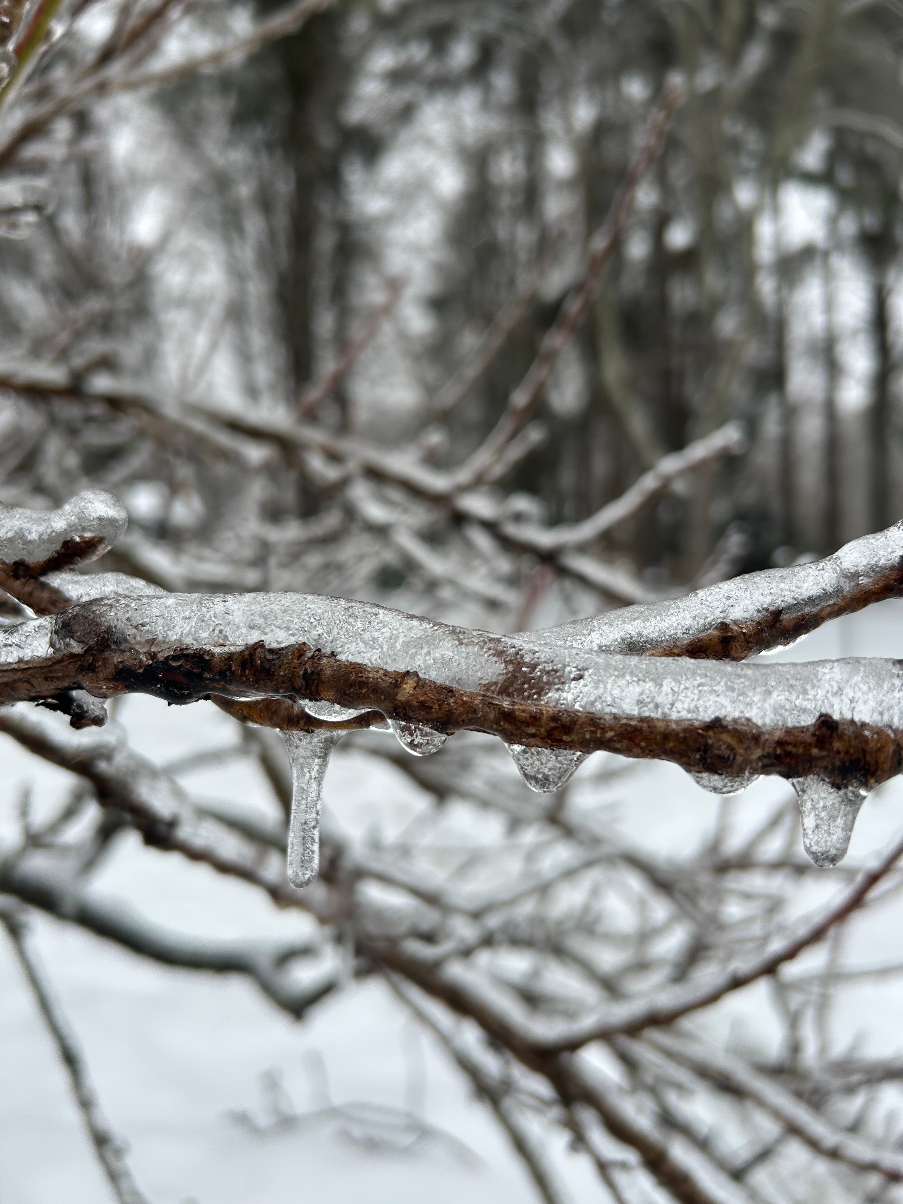 Your snow and ice photos from weekend storm