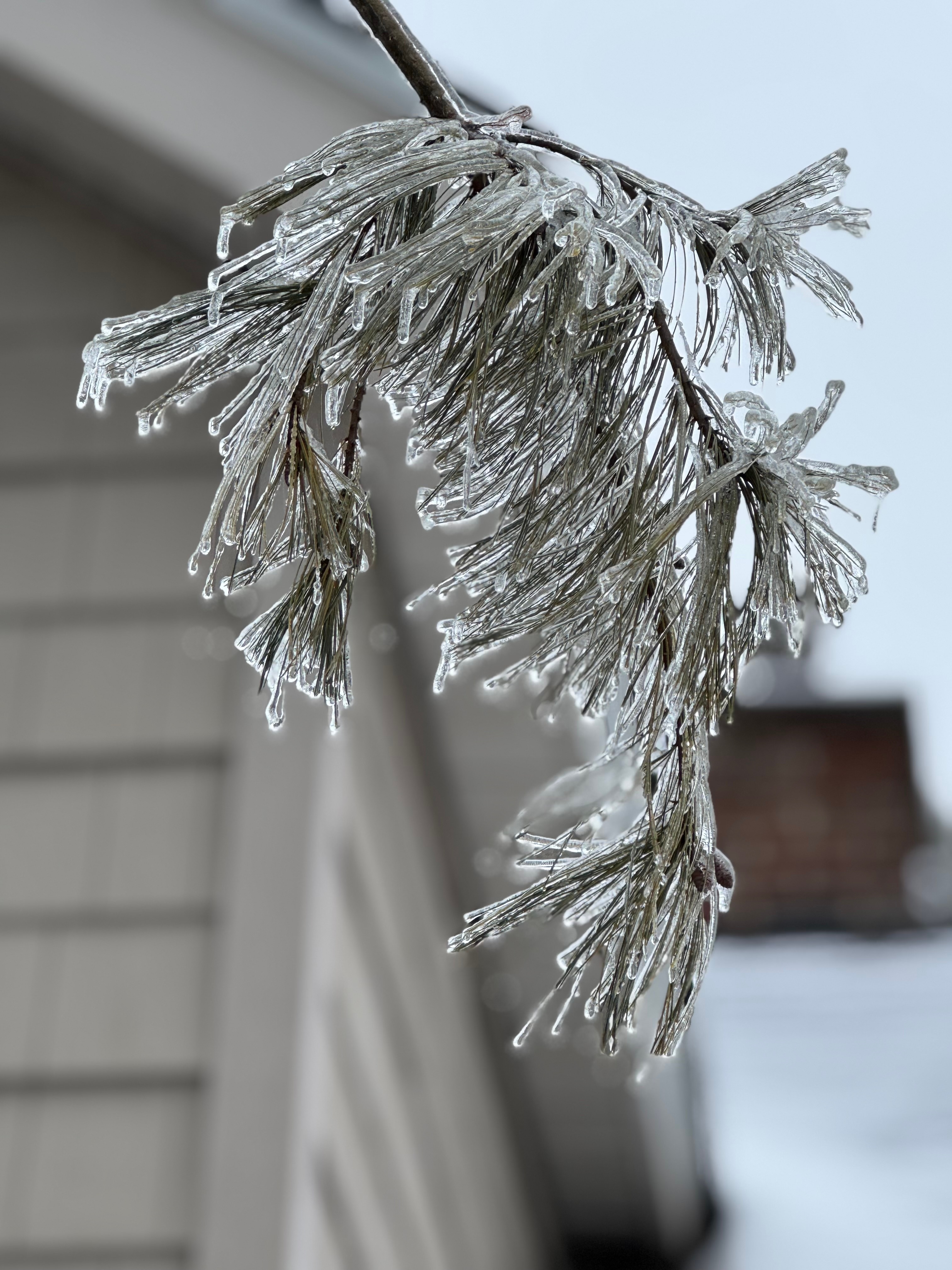 Just wanted to share some of the icy conditions in Southington.  Be safe, everyone!