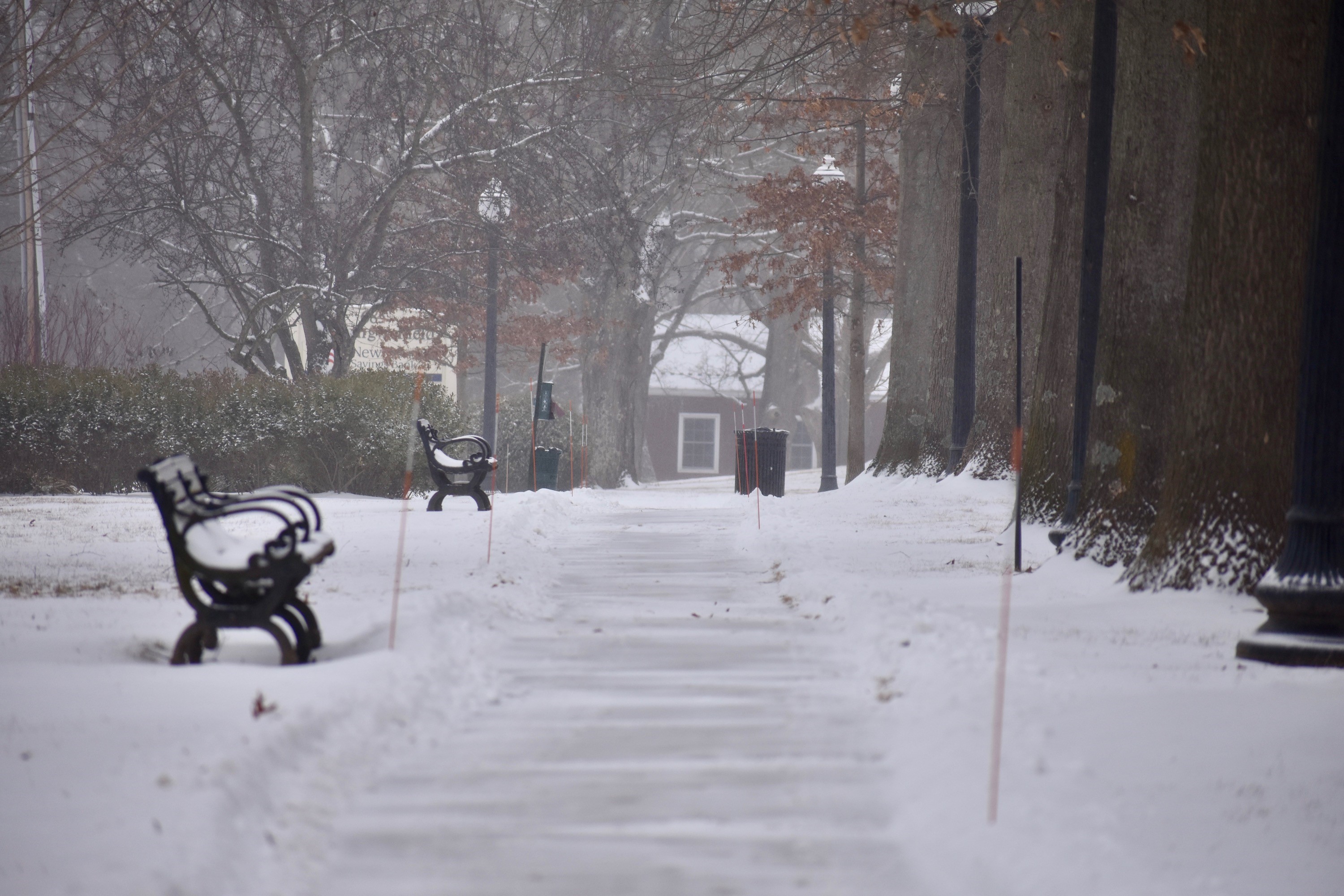 Photos of snow on Feb. 6