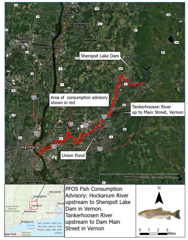 Hockanum fish advisory