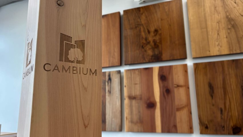 Recycled wood at Cambium.