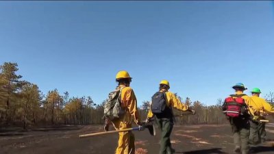 S'mores blamed for sparking massive Long Island brush fires