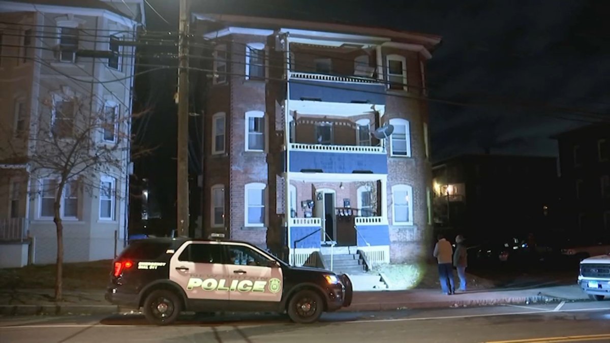 Three dogs killed in New Britain fire – NBC Connecticut