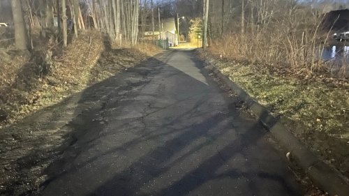 Dog with gunshot wound found dead in bag in the woods in East Hartford ...